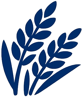 Rice Plant